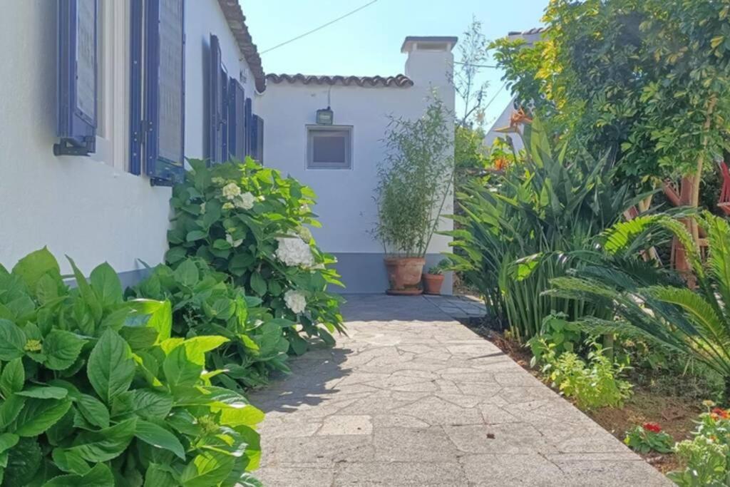 Casa Azores Zen هيبيرا غْريندي المظهر الخارجي الصورة